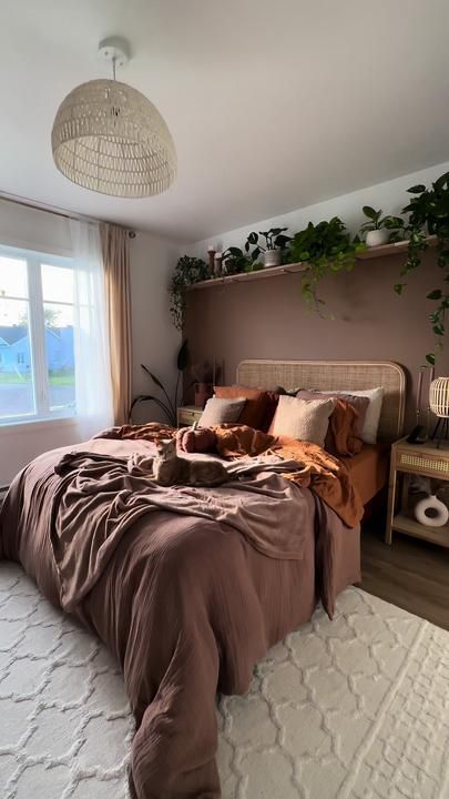 A brown bedroom with beige rug on the floor and white framed windows 