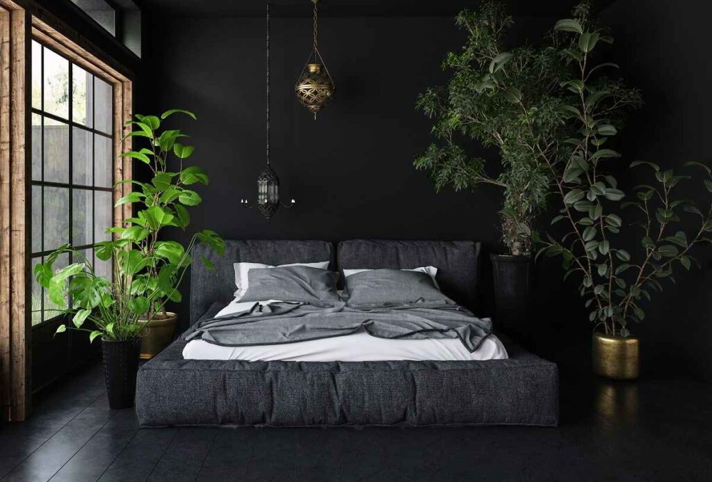 Wooden window and black bed frame with wall and plants beside it