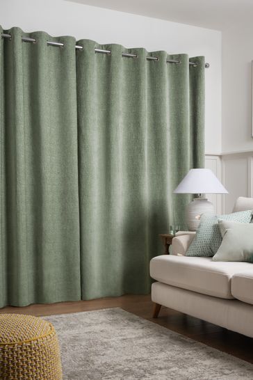 A sage green living room with grey rug on wooden floor