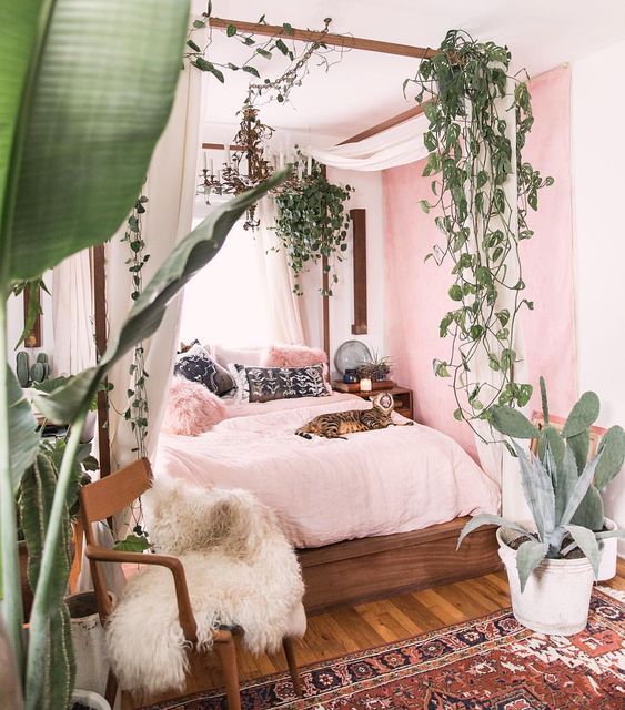 A pink bedroom with plants in the room and wooden floor