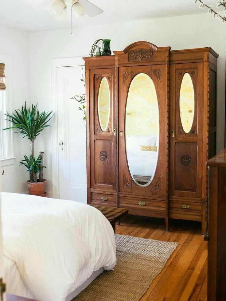 A living room with mirrored wardrobe plant in corner