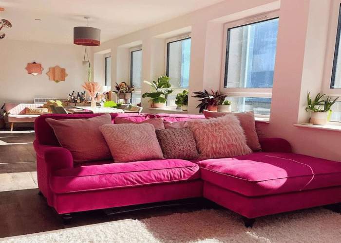 A pink rom with pop colour sofa and rug and windows