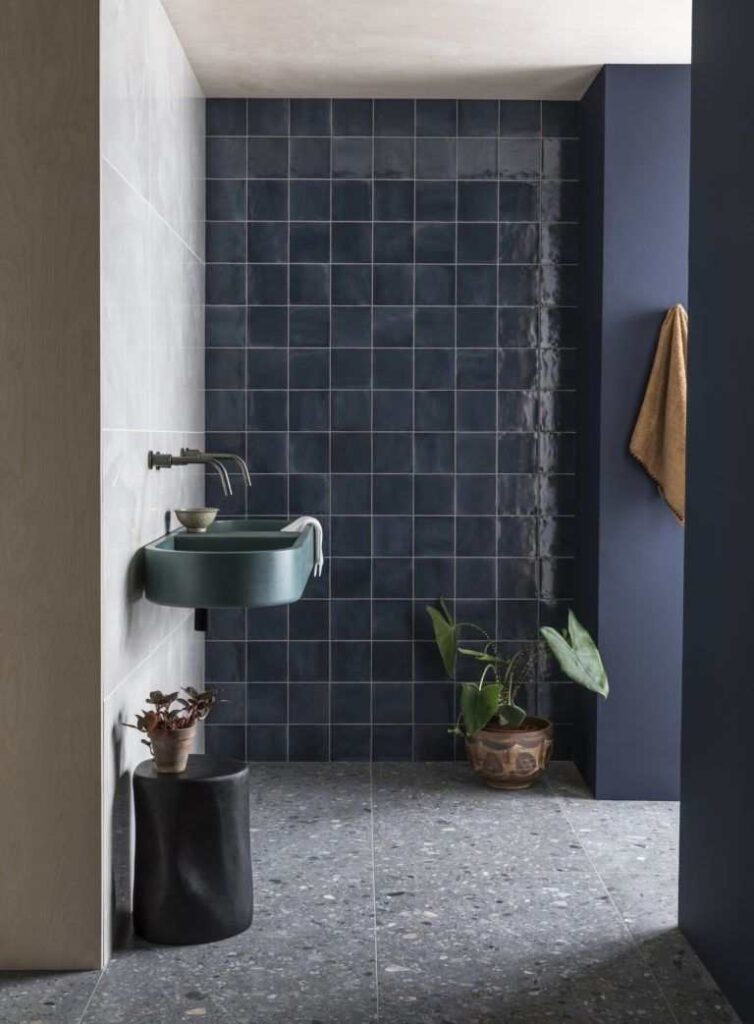 Concrete flooring in navy bathroom and plant in the corner