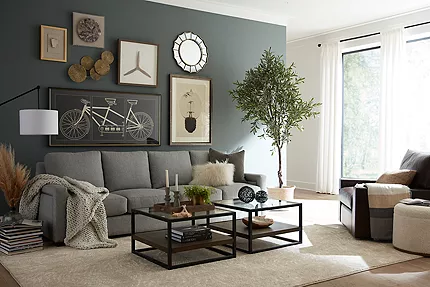 A grey wall with a gallery wall and sofa and table and wooden floor 
