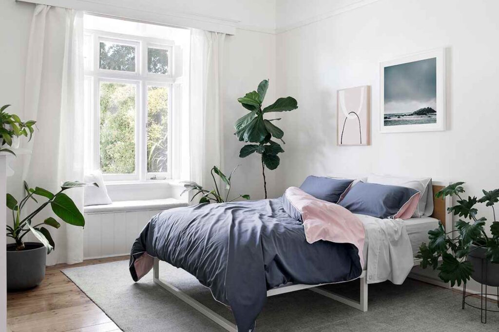 A white bedroom with plants and white windows and frame on the wall 